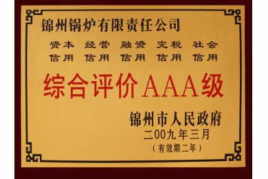 09年綜合評價(jià)AAA級(jí)